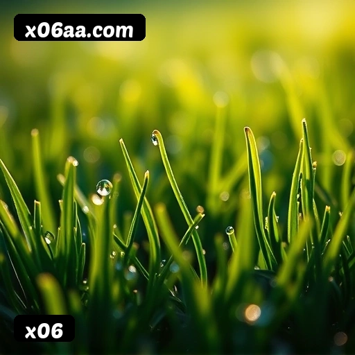 Estatísticas x06 2026 – 87.429 jogadores ativos, R$ 47,2M em prêmios pagos, RTP 96,52%
